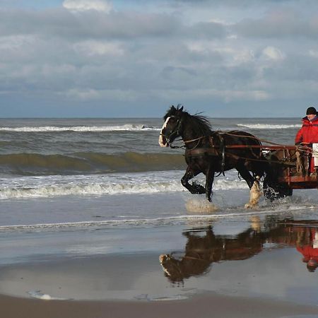 Centraal Aan Zee Apartment Egmond aan Zee Bagian luar foto