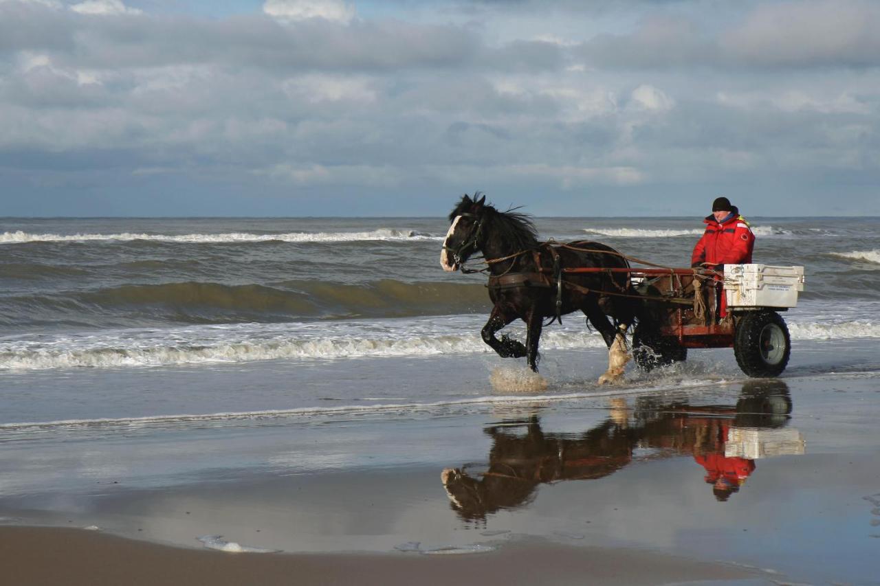 Centraal Aan Zee Apartment Egmond aan Zee Bagian luar foto